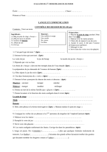 Examen de fran&ccedil;ais CM1 : 3&egrave;me trimestre 2018