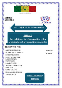 Politique de r&eacute;mun&eacute;ration et bureaucraties m&eacute;canistes