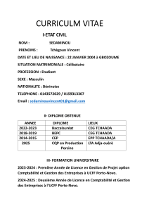 CV de Sedaminou Tch&egrave;goun Vincent - &Eacute;tudiant en Gestion