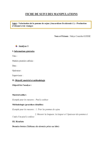 Fiche de suivi des manipulations : Valorisation de la pomme de cajou pour &eacute;thanol et vinaigre