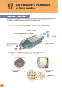 Catalyseurs d'oxydation et sondes lambda