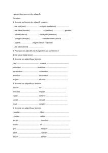 Exercices sur l'accord des noms et adjectifs en fran&ccedil;ais