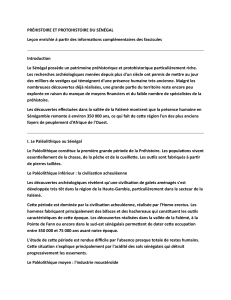 Pr&eacute;histoire et Protohistoire du S&eacute;n&eacute;gal : Vue Arch&eacute;ologique
