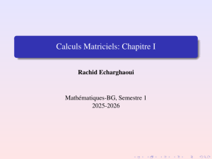 Calculs Matriciels: Chapitre I - Rachid Echarghaoui