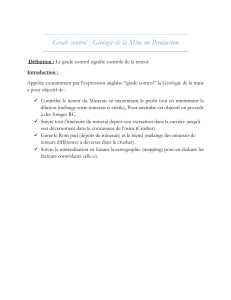 Grade Control : G&eacute;ologie de la Mine ou Production