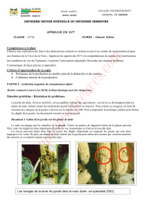 Devoir Surveill&eacute; SVT 1&egrave;reA: OGM et Pyrale du Ma&iuml;s
