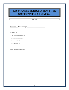 Les organes de r&eacute;gulation et de concertation au S&eacute;n&eacute;gal