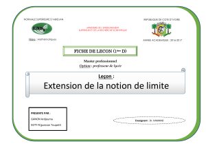 Plan de Cours : Extension de la Notion de Limite - Math&eacute;matiques