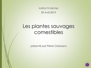 Quiz sur les plantes sauvages comestibles