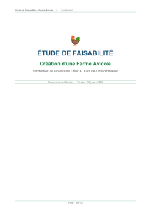 &Eacute;tude de faisabilit&eacute; ferme avicole production poulets &oelig;ufs