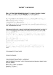 Exemple trame de sortie : R&eacute;&eacute;ducation cognitive et &eacute;quilibre post-HSA