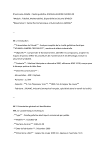 Analyse technique de la cisaille guillotine JOUANEL-ALMORE CGS1030-20