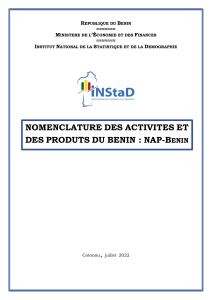 NAP-Benin : Nomenclature &eacute;conomique du B&eacute;nin