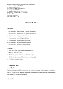 Cours sur la bronchite aigu&euml; - Coll&egrave;ge de Pneumologie Burkina Faso