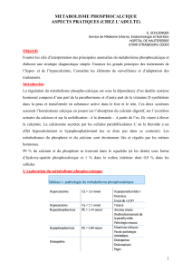 RHUMATO-ENDOC-Cours-Anomalies-du-metabol(...)-aspects-pratiques-traitements-Univ-2012-360