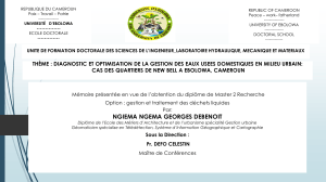 Gestion des eaux us&eacute;es &agrave; New Bell, Ebolowa : M&eacute;moire de Master