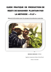 Guide pratique production rejets bananier plantain m&eacute;thode PIF