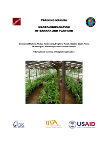 Macro-Propagation of Banana and Plantain Training Manual