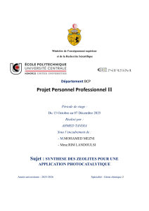 Rapport de stage pp2