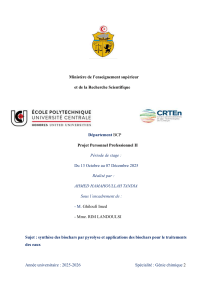 Biochar rapport 