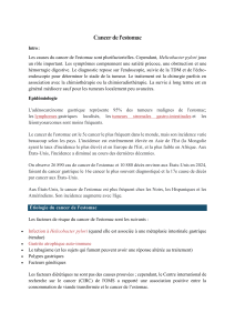 C&acirc;ncer de Est&ocirc;mago: Causas, Diagn&oacute;stico e Tratamento