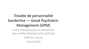 GPM pour trouble borderline : cadre th&eacute;rapeutique et anti-splitting