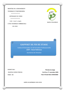 Rapport de stage : Ngapele Kongo Piercia &agrave; l'IOFP Raoul Follereau