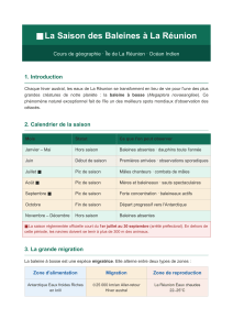 La Saison des Baleines &agrave; La R&eacute;union : Guide de G&eacute;ographie et d'Observation