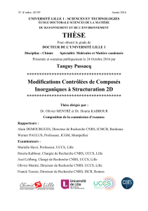 Modifications Contr&ocirc;l&eacute;es de Compos&eacute;s Inorganiques &agrave; 2D - Th&egrave;se de Doctorat