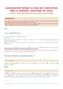 Mod&egrave;le d'assignation devant le juge de l'ex&eacute;cution (repr&eacute;sentation obligatoire)