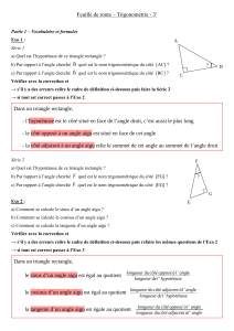 Feuille de route Trigonom&eacute;trie 3e - Exercices et Corrig&eacute;s