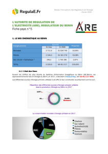 Fiche pays n&deg;5 : Mix &eacute;nerg&eacute;tique du B&eacute;nin - ARE 2020