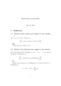 D&eacute;river matricielle: Matrice D&eacute;rivation Formules