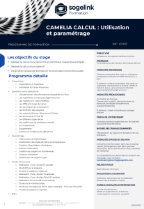 Formation CAMELIA CALCUL : Utilisation et param&eacute;trage