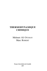 Manuel de Thermodynamique Chimique (1997)