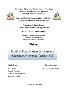 &Eacute;tude et planification des r&eacute;seaux &eacute;lectriques moyenne tension MT