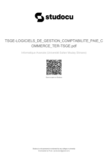 Module Gestion Commerciale SAGE Ligne 100