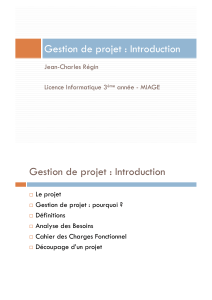 Gest&atilde;o de Projetos: Introdu&ccedil;&atilde;o - Notas de Aula