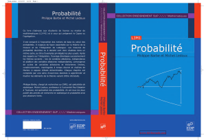 Probabilit&eacute;: Manuel de Th&eacute;orie des Probabilit&eacute;s pour &Eacute;tudiants L3-M1