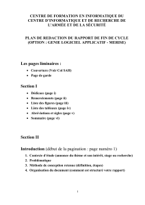 Rapport de Fin de Cycle: Guide MERISE