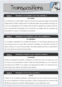 Transpositions : exercices de grammaire fran&ccedil;aise