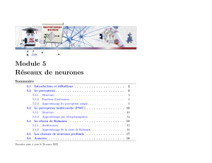 M&oacute;dulo 5: Redes Neuronales - Material Educativo