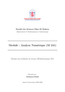 Module d'Analyse Num&eacute;rique (M 241) - Cours Universitaire
