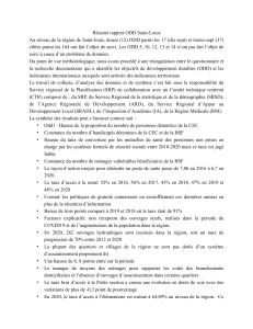 R&eacute;sum&eacute; rapport ODD Saint-Louis : Suivi des objectifs de d&eacute;veloppement durable