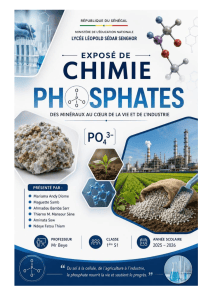 Phosphates : Des Min&eacute;raux au C&oelig;ur de la Vie et de l'Industrie
