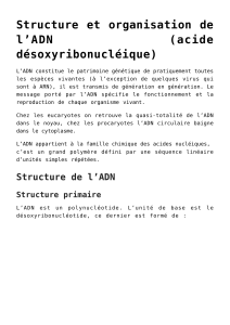 Structure et organisation de l'ADN
