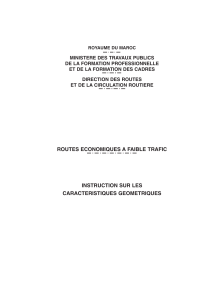 Instruction sur les caract&eacute;ristiques g&eacute;om&eacute;triques des routes &eacute;conomiques &agrave; faible trafic