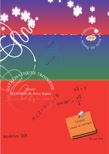 Math&eacute;matiques Troisi&egrave;me: Cours et Exercices