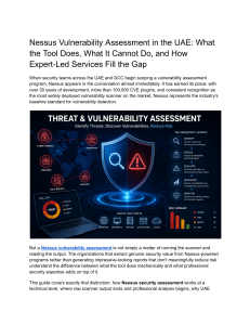 Nessus Vulnerability Assessment in the UAE
