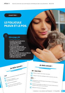 Le follicule pileux et le poil - Biologie